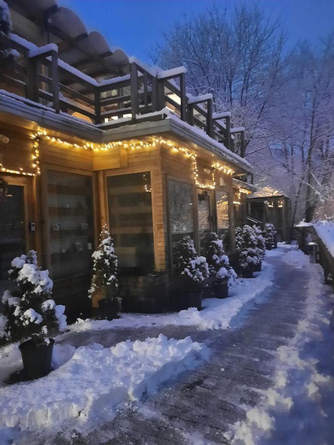 Skay Loft Bed & Breakfast Braşov Dış mekan fotoğraf