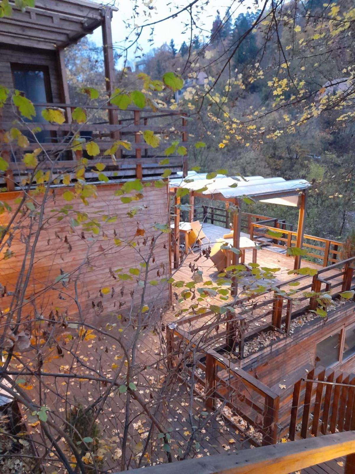Skay Loft Bed & Breakfast Braşov Dış mekan fotoğraf
