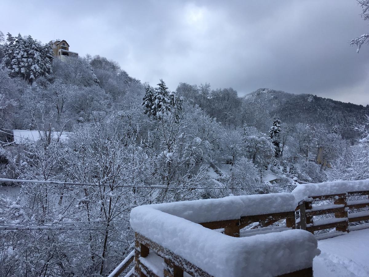 Skay Loft Bed & Breakfast Braşov Dış mekan fotoğraf