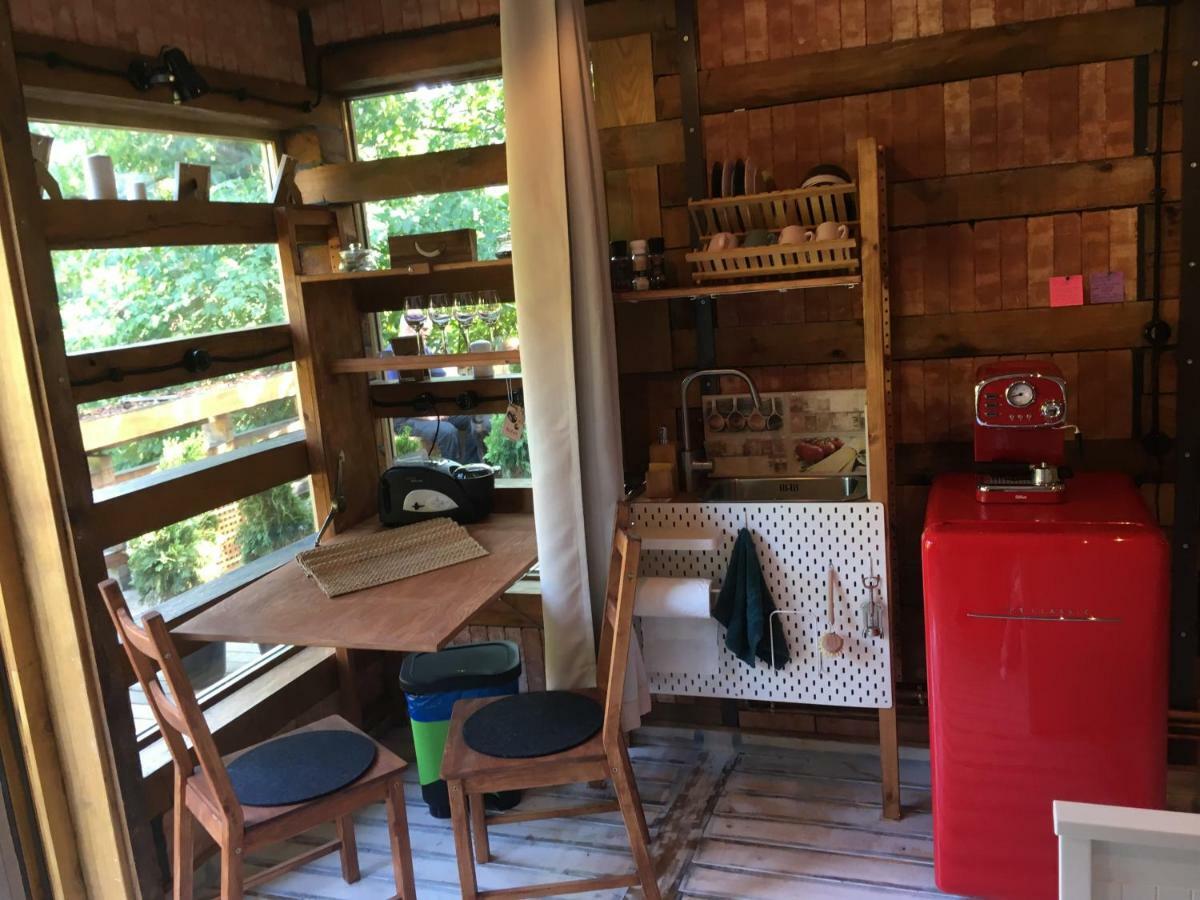 Skay Loft Bed & Breakfast Braşov Dış mekan fotoğraf