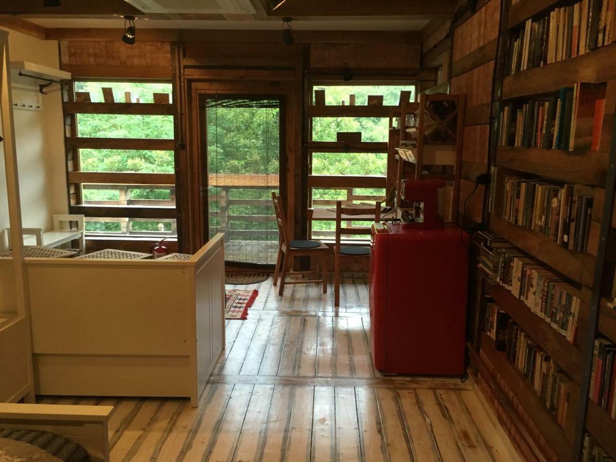 Skay Loft Bed & Breakfast Braşov Dış mekan fotoğraf
